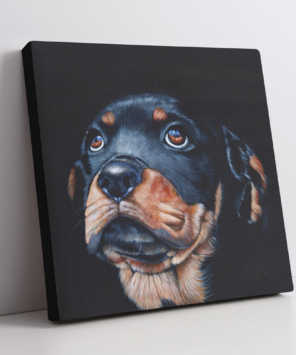 Quadro decorativo rottweiler