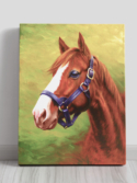 Quadro cavalo para sala