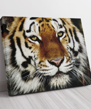 Quadro decorativo tigre